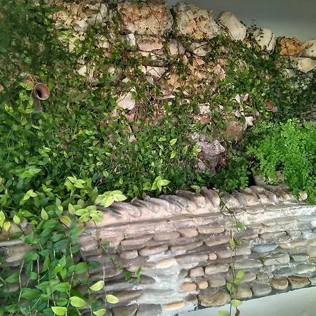 Boutique * וילה דה ריי